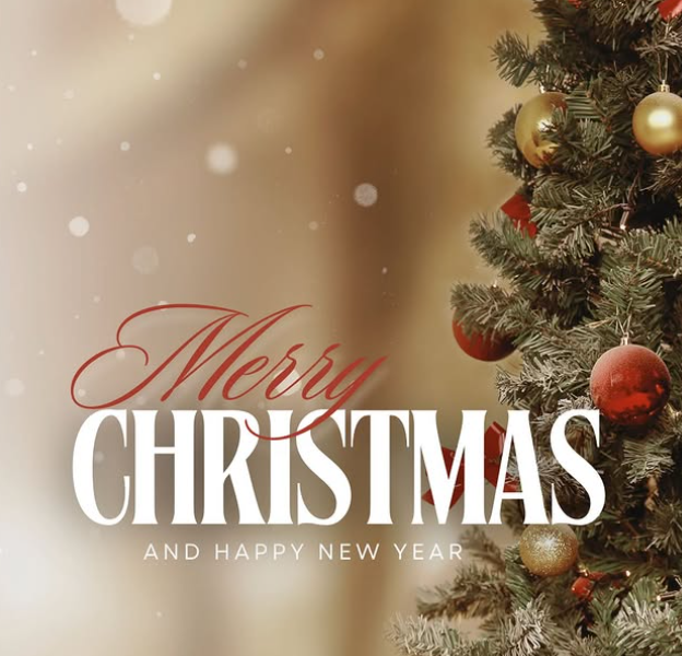 צילום מסך 2025-12-28 232420